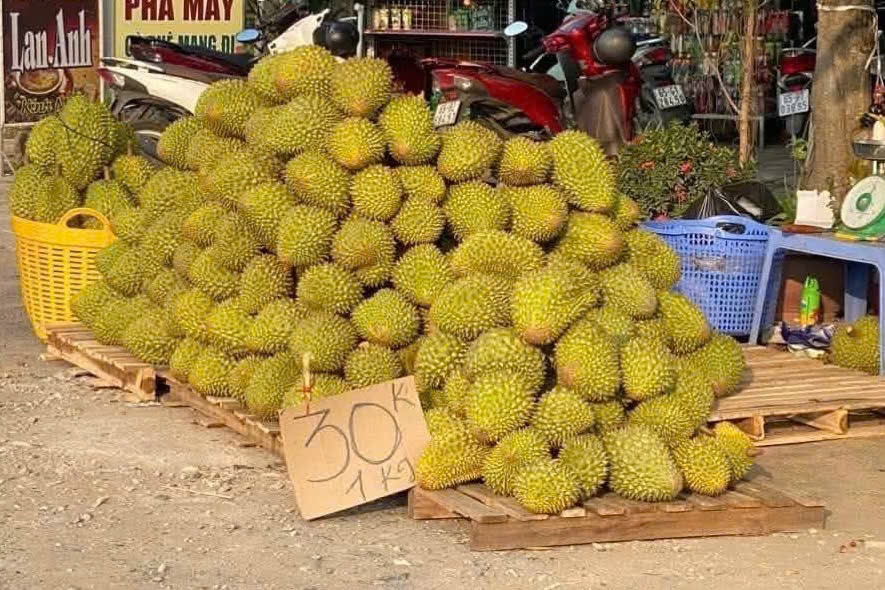 Lời khuyên cho người tiêu dùng