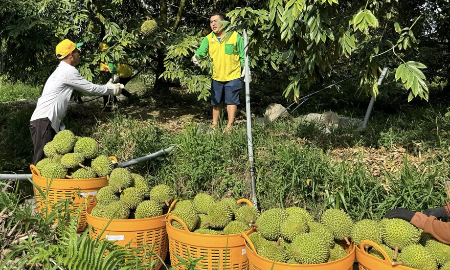 Thông tin cơ bản về mức giá
